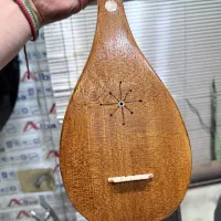 سه تار قدیمی|سازهای سنتی|ری, علایین|دیوار