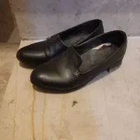 فروش کفش|کیف، کفش، کمربند|دوگنبدان, |دیوار