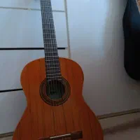 گیتار نو قیمت مناسب