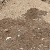 کود قشلاق|فعالیت داوطلبانه|پاکدشت, پاکدشت (مامازند)|دیوار