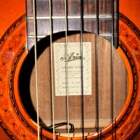 گیتار آریا ak80