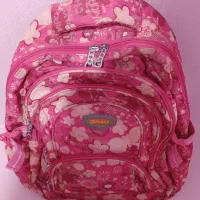 2 عدد کوله پشتی شیک|کیف، کفش، کمربند|اردبیل, |دیوار