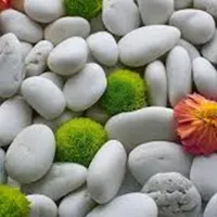 سنگ سفید سیلیس و قلوه سنگ باغبانی و محوطه سازی|عمده‌فروشی|تهران, ستارخان|دیوار