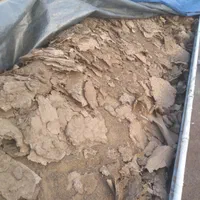 کود.کودمرغ.کودگاو.کودگوسفند.کودمرغی|خدمات باغبانی و درختکاری|شیراز, شهرک گلستان|دیوار