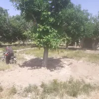 فروش ۵۵۰۰ متر باغ در حسین اباد عاشوری|فروش دفتر صنعتی، کشاورزی، تجاری|بهار, |دیوار