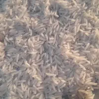 برنج فجر|خوردنی و آشامیدنی|سنگدوین, |دیوار