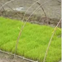 باکس توم نشا به شرط هاشمی اصلاح شده