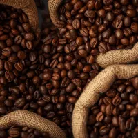 پخش عمده قهوه سنترو|خوردنی و آشامیدنی|لنجان, |دیوار