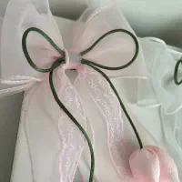 انلاین شاپ.فروش انواع اکسسوری مو