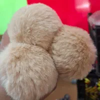 کار در کارگاه و منزل