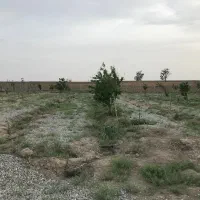 فروش-زمین-در-رباط-کریم-وهن-اباد-حکیم-اباد