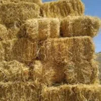 تریلی بارگیری شده|خدمات حمل و نقل|زرین آباد, |دیوار