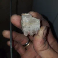 امیتیس|جواهرات|رشت, تازه آباد|دیوار