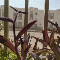 فروش مسکن مهر