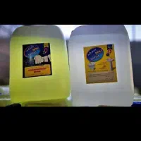 شوینده پونو