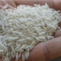 برنج|خوردنی و آشامیدنی|آستانه اشرفیه, |دیوار