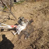 باغبانی هرس کاری تیلر زدن تعویض گلدان گل خاک کود|خدمات باغبانی و درختکاری|مشهد, نوید|دیوار