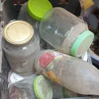 شیشه،بانکه