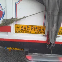 فروش پرتقال بی هسته