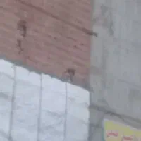 سیمانکار|استخدام معماری، عمران و ساختمانی|کتالم و سادات شهر, |دیوار