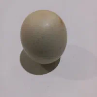 سنگ الماس آسیاب