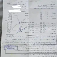 206 تیپ 2 مدل 87 فوق استثنایی