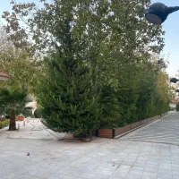 اجاره باغ ویلا گویم|اجارهٔ کوتاه‌مدت ویلا و باغ|شیراز, گویم|دیوار