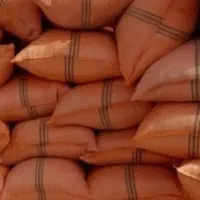 کاه سیاه دانه