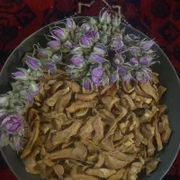 خلال به خشک|خوردنی و آشامیدنی|شیراز, دکتر حسابی|دیوار