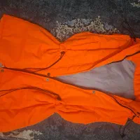 هودی و پافر|لباس|محمدیه-قزوین, |دیوار