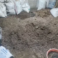 خاک گلدان مرغوب