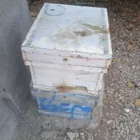 تعدادی کندو وقاب خشک