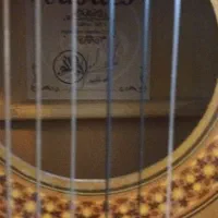 گیتار|گیتار، بیس، امپلیفایر|بجنورد, |دیوار