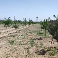 زمین-و-باغ-فروشی-جنداب-موقعیت-عالی