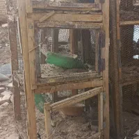 جفت کن کبوتر