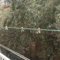 شهرک اوج، اجاره ۱۳۰ متری|اجارهٔ آپارتمان|کرج, شهرک اوج|دیوار
