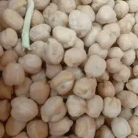 نخودپایه بلند پاییزه