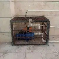 جوشکاری سیار|خدمات پیشه و مهارت|سوسنگرد, |دیوار