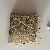 لوستر سقفی صدفی|لوستر و چراغ آویز|تهران, سعادتآباد|دیوار