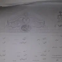 فروش زمین ۲۵۰ متری در رودهن