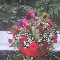 فیکوس بلک عمده و تکی|گل و گیاه طبیعی|رفسنجان, |دیوار