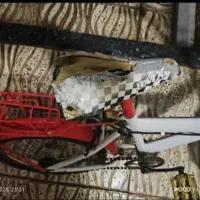 دوچرخه سایز ۱۴ و ۱۶|دوچرخه، اسکیت، اسکوتر|شاهرود, |دیوار