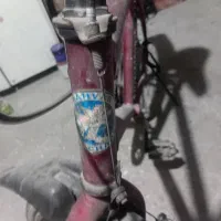 دوچرخه|دوچرخه، اسکیت، اسکوتر|رشت, حومه رشت|دیوار