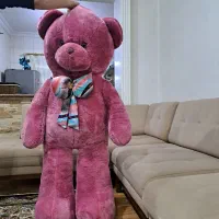 عروسک  نوبفروش میرسد