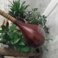 سه تار زیبا و خوش صدا|سازهای سنتی|تهران, بلوار کشاورز|دیوار