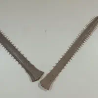 اره ماهی قدیمی|کلکسیون و سرگرمی|شهرکرد, |دیوار