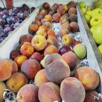 کارگر ساده جهت کار در تره بار