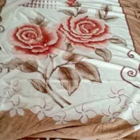 دو عدد پتوباهم650