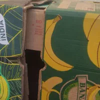 کارتن موزی محکم