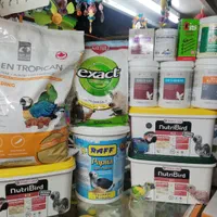 سرلاک پرندگان